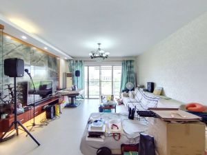 深业新岸线一期 141平4房2厅，总价1150万深圳宝安区宝安中心二手房图片