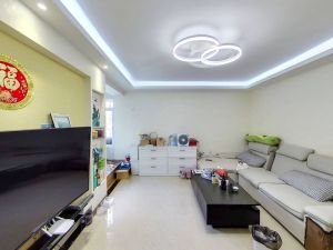 英达花园 0佣购买，冲销量，捡漏！真低于售出价深圳罗湖区布心二手房图片