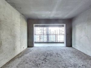 神憩乾珑 4室2厅 140㎡ 毛坯_郴州北湖区爱莲湖二手房图片