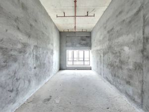 美思汇 1室0厅 48.5㎡ 毛坯_佛山南海区盐步二手房图片