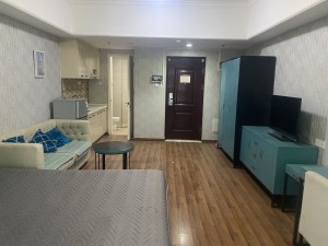 万达广场(南海) 1室1厅 49㎡ 万达广场(南海) 1室1厅 49㎡佛山南海区千灯湖租房图片