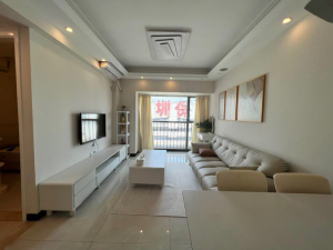 置地逸轩 罗湖44平1房2厅，总价300万深圳罗湖区春风路二手房图片