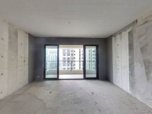 碧桂园衡中心 4室2厅 143㎡ 毛坯衡阳蒸湘区华新二手房图片