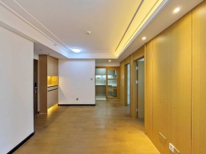 金地龙城中央 龙岗64平2房1厅，总价仅103万深圳龙岗区龙岗中心城二手房图片