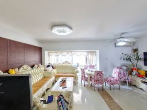 雷圳0755 4室2厅 125.21㎡ 精装深圳南山区前海二手房图片