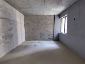 丽景君临天下 3室2厅 94.58㎡ 毛坯郴州苏仙区爱莲湖二手房图片