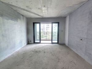 碧桂园衡州盛世 4室2厅 132㎡ 毛坯衡阳蒸湘区陆家新区二手房图片