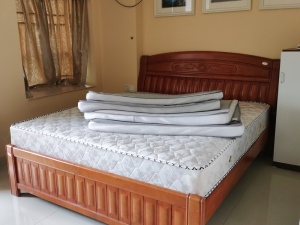 枫叶雅堤 1室1厅 31.67㎡_枫叶雅堤租房卧室图片3